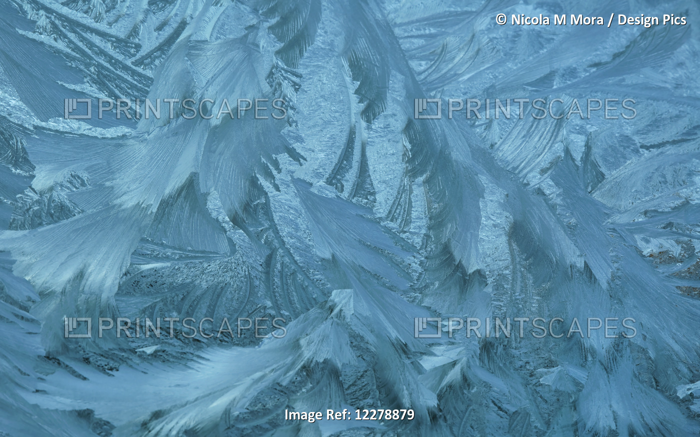 Ice Patterns Formed On Glass After A Hard Frost; Nelson, Wakefield, New Zealand