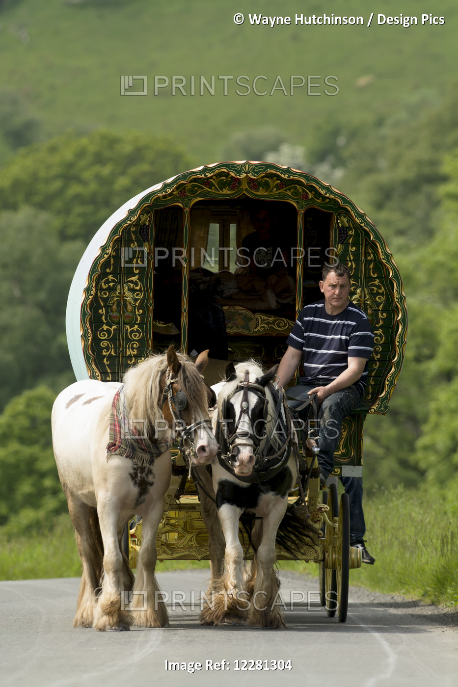Horse Drawn Caravans Heading Towards The Horse Fair At Appleby In Westmorland; ...