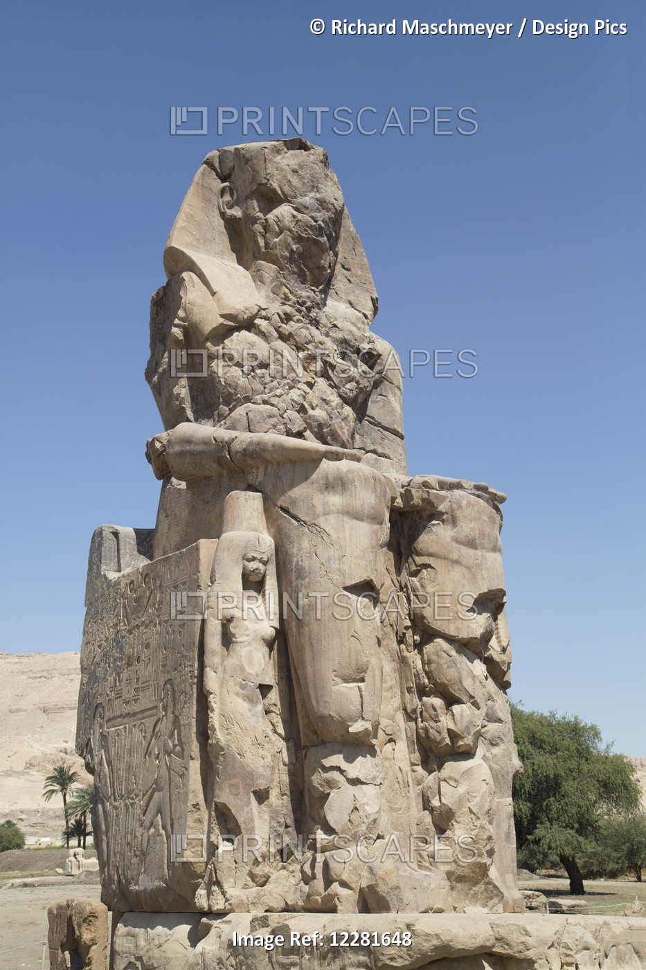 Colossus Of Memnon; West Bank, Egypt