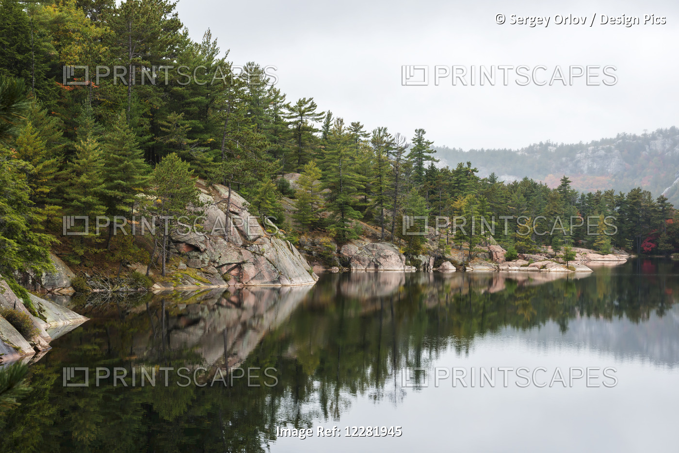 Green Coniferous Forest On A Tranquil Lake Shore With Red Rock Geological ...