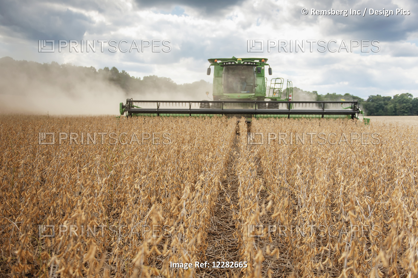 Soybean Harvesting; Laytonsville, Maryland, United States Of America