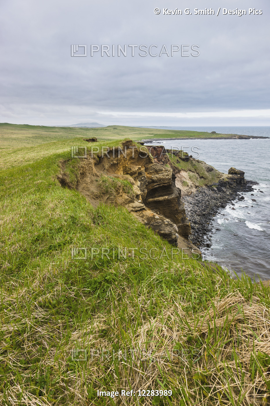 Eroding Sandstone Cliffs On The Shores Of The Bering Sea, St. Paul Island, ...
