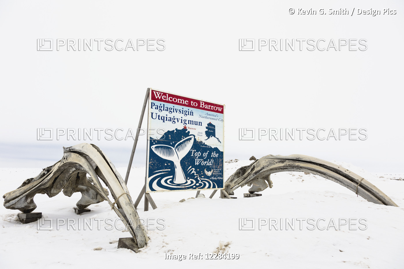 Welcome To Barrow Sign Next To Whale Bones, North Slope, Arctic Alaska, USA, ...
