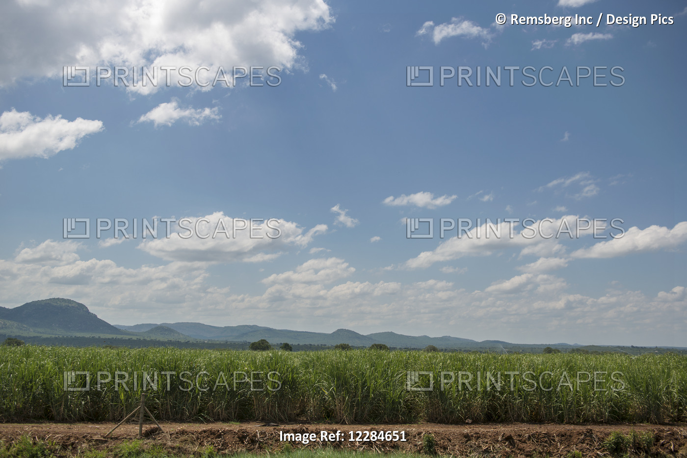 Open Field With Mountain Range In Distance At Kruger National Park; South Africa