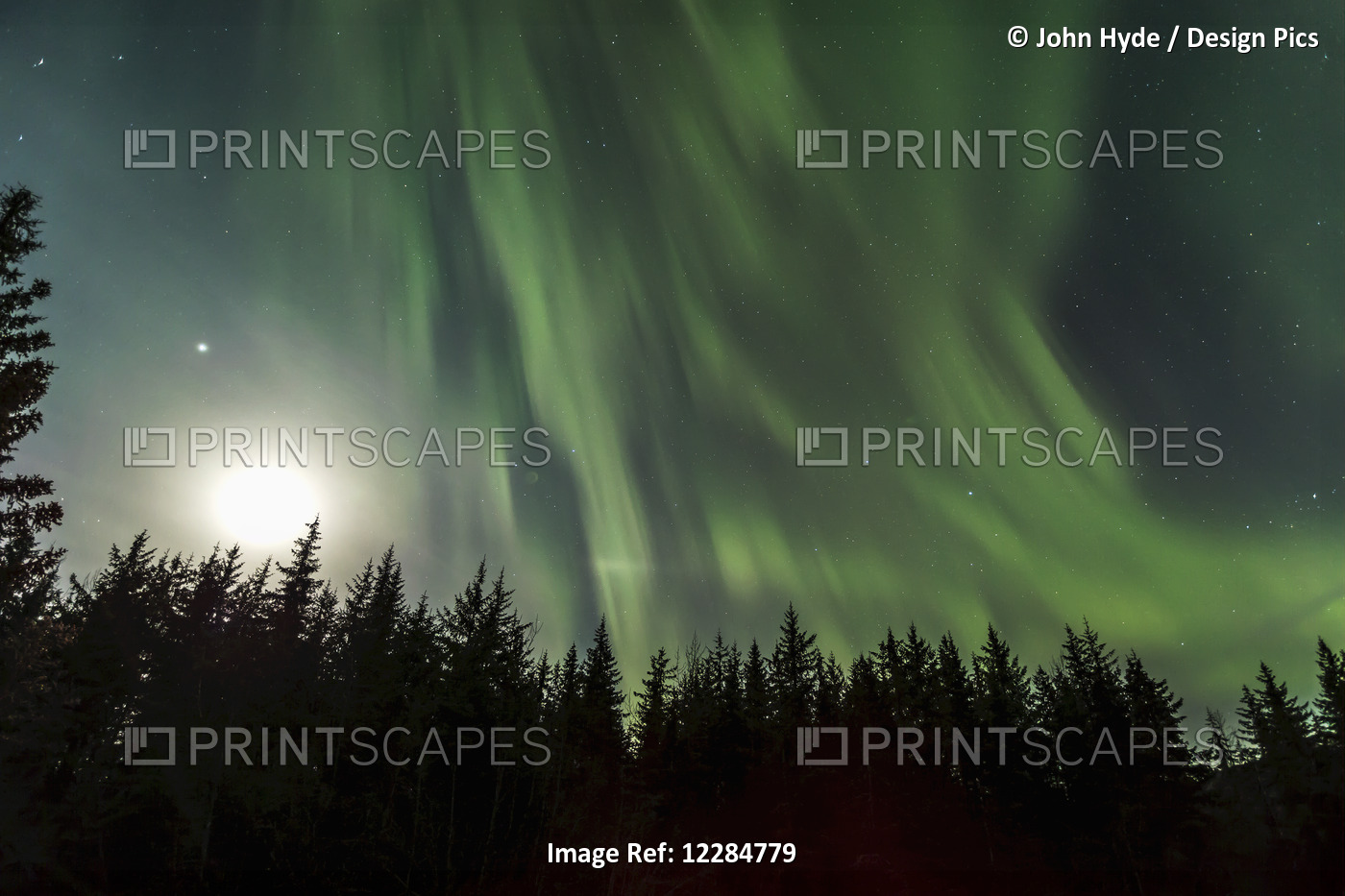 Aurora Borealis, Northern Lights, Tongass National Forest; Alaska, United ...