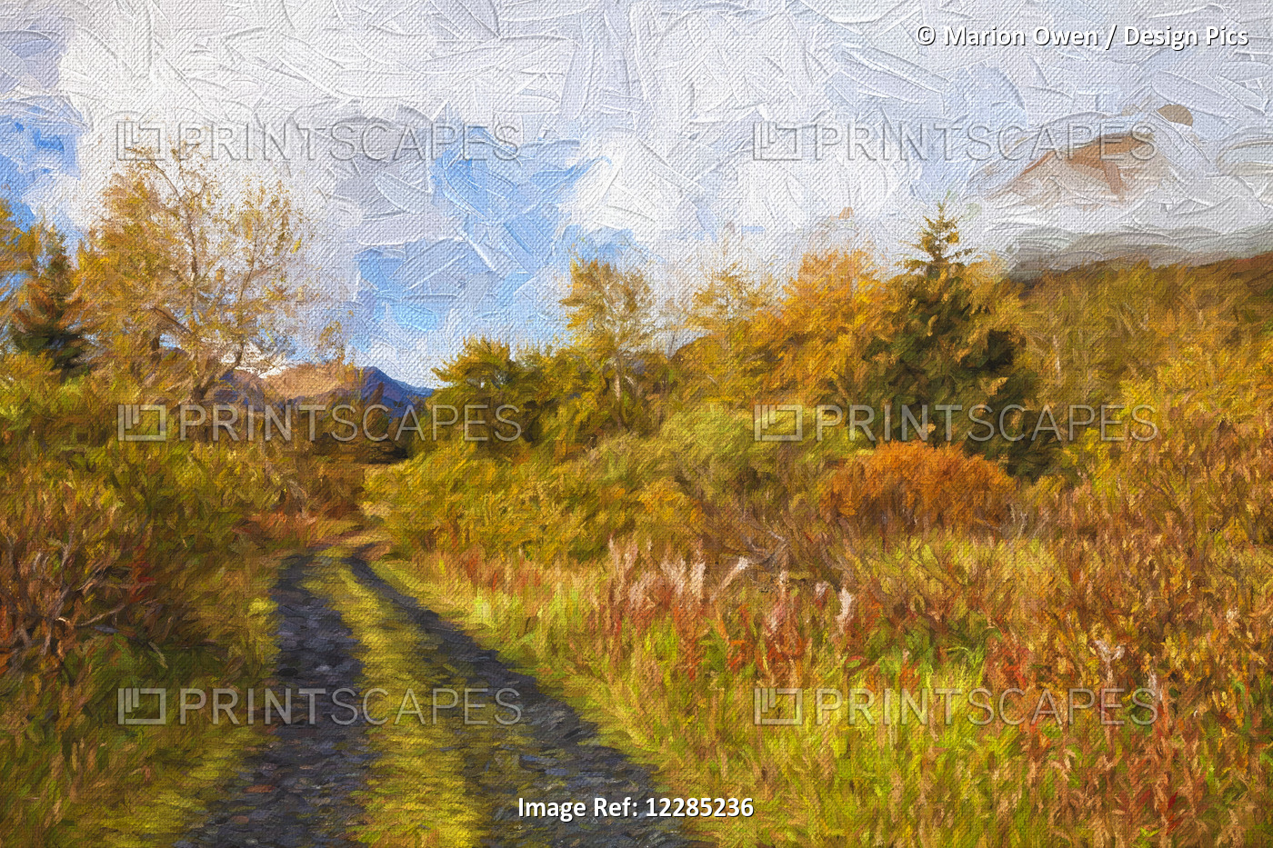 Autumn Scenic Oil Painting Along Chiniak Highway; Kodiak, Alaska, United States ...