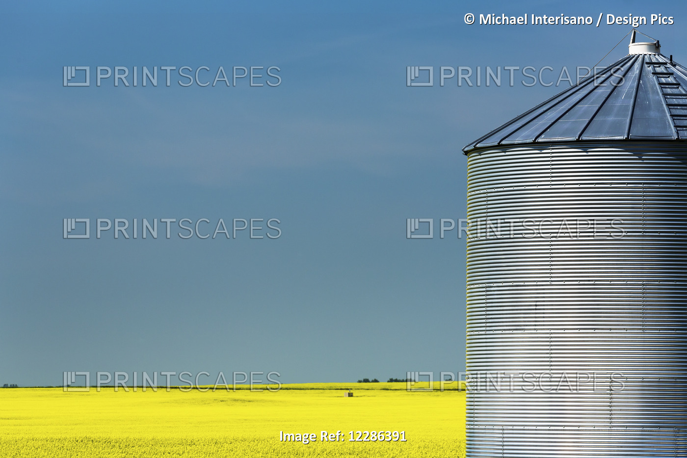 Large Metal Grain Bin With Flowering Canola Field And Blue Sky In The ...