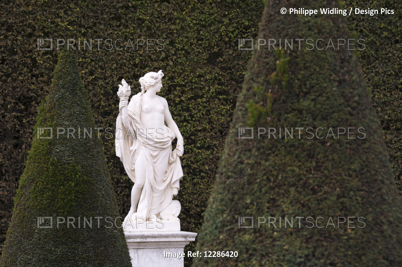 A White Marble Statue Is Shown Against The Green Of A Tall Hedge In The Gardens ...