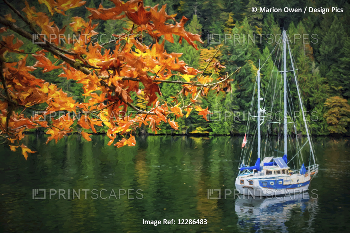 A Blue And White Sailboat Rests At Anchor In Autumn Near Gowlland Tod ...
