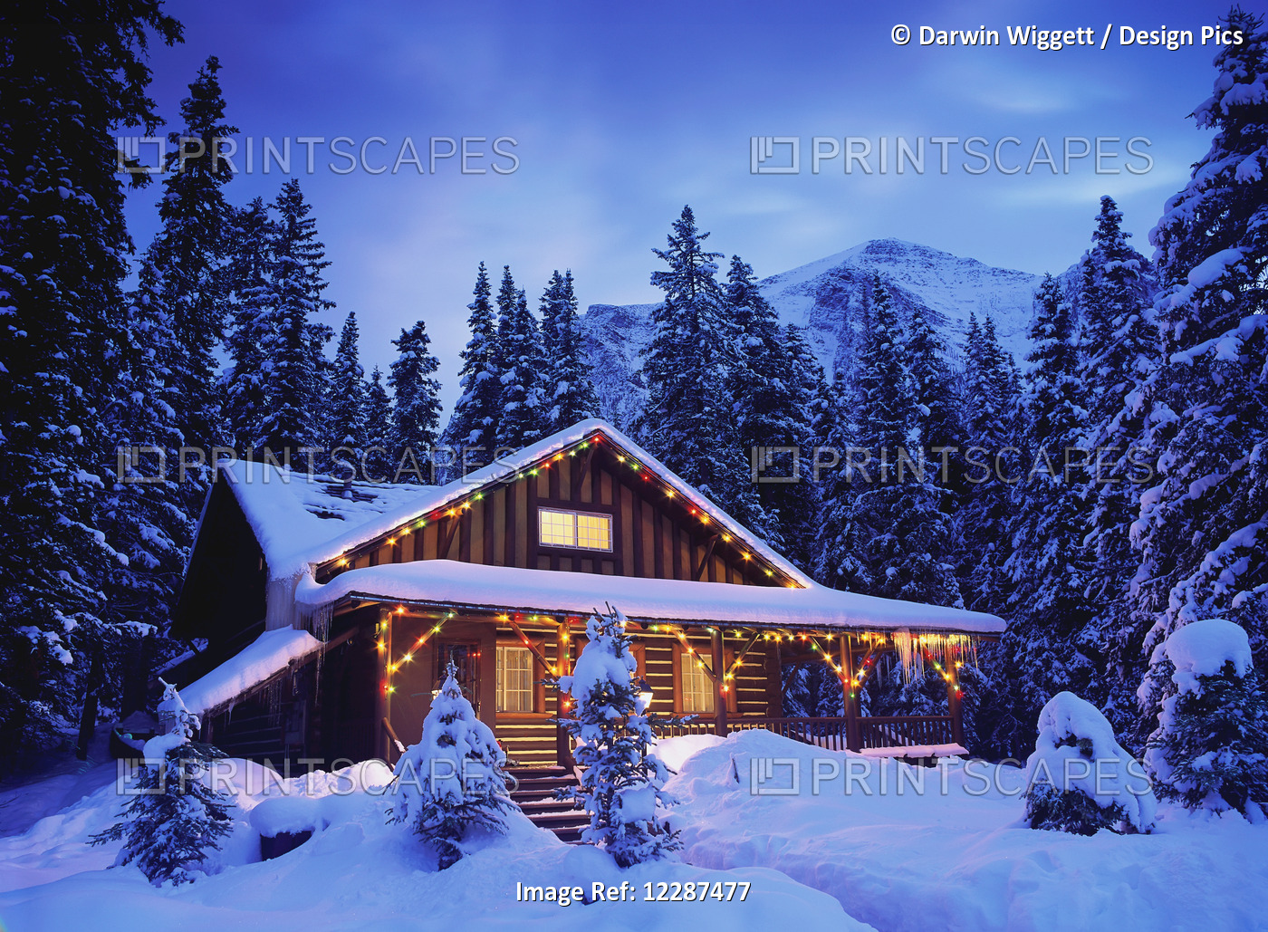 Cabin In The Woods Illuminated By Christmas Lights