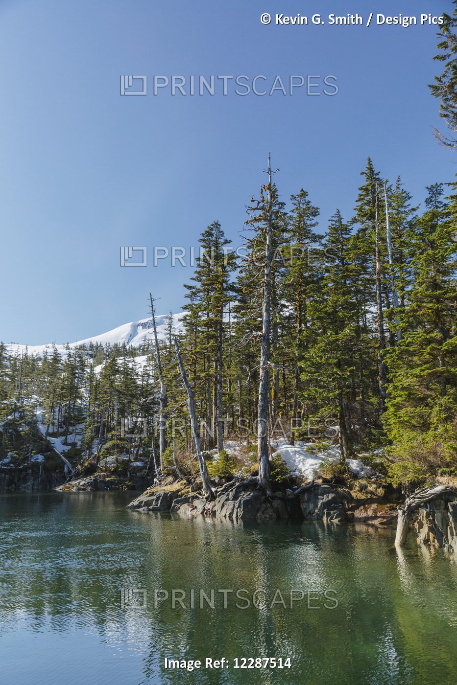 Evergreen Trees And Snow Covered Mountains Reflect In The Calm Waters Of Prince ...