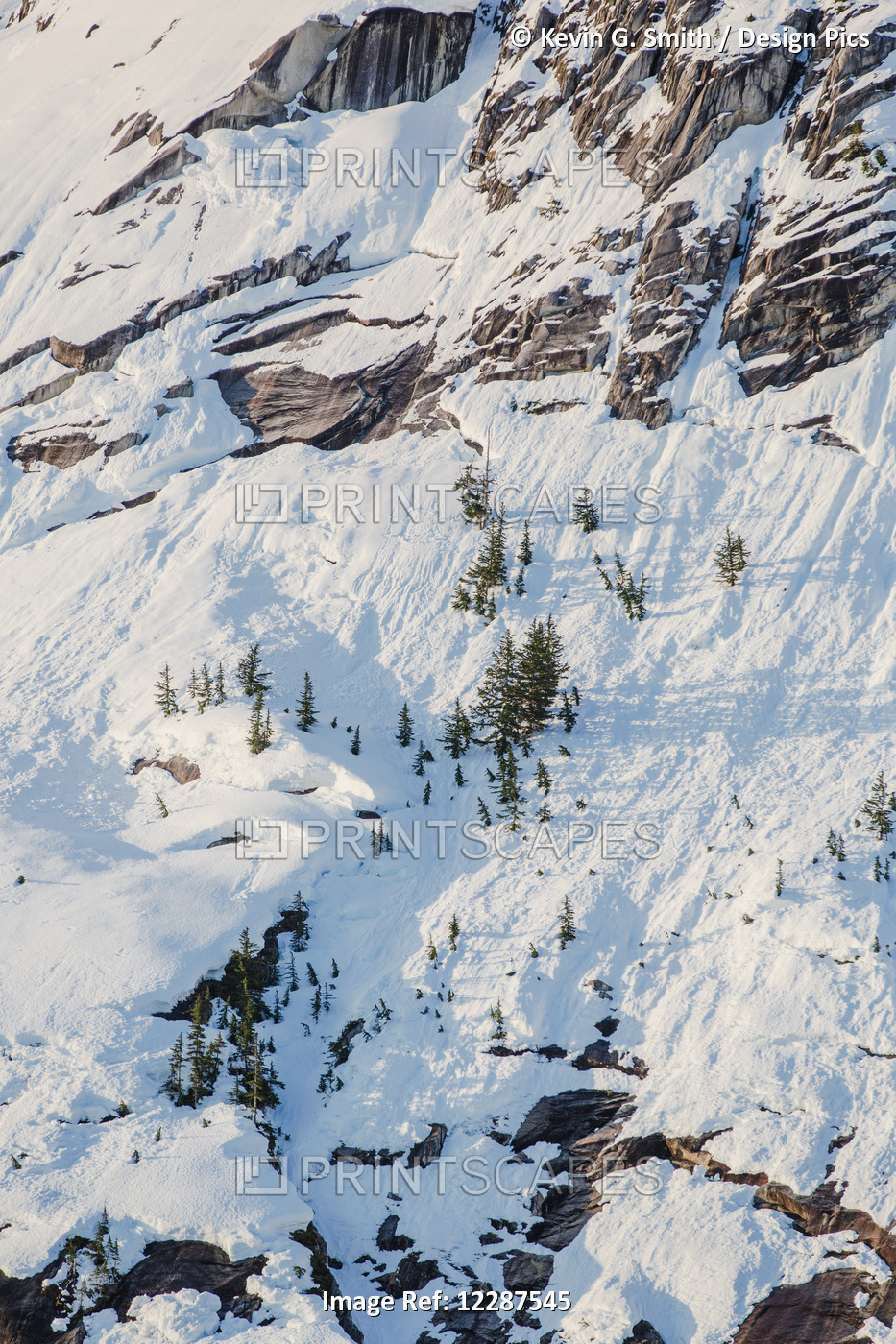 Snow Covered Cliffs And Evergreen Trees Bathed In Sunset Light On The Shore Of ...