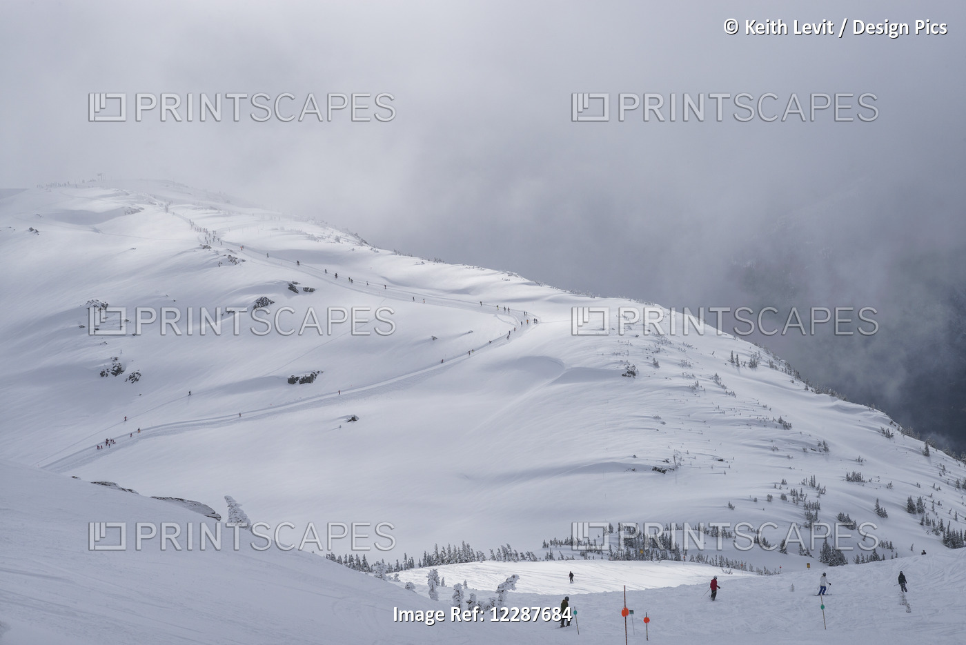 Skiers On A Mountain; Whistler, British Columbia, Canada