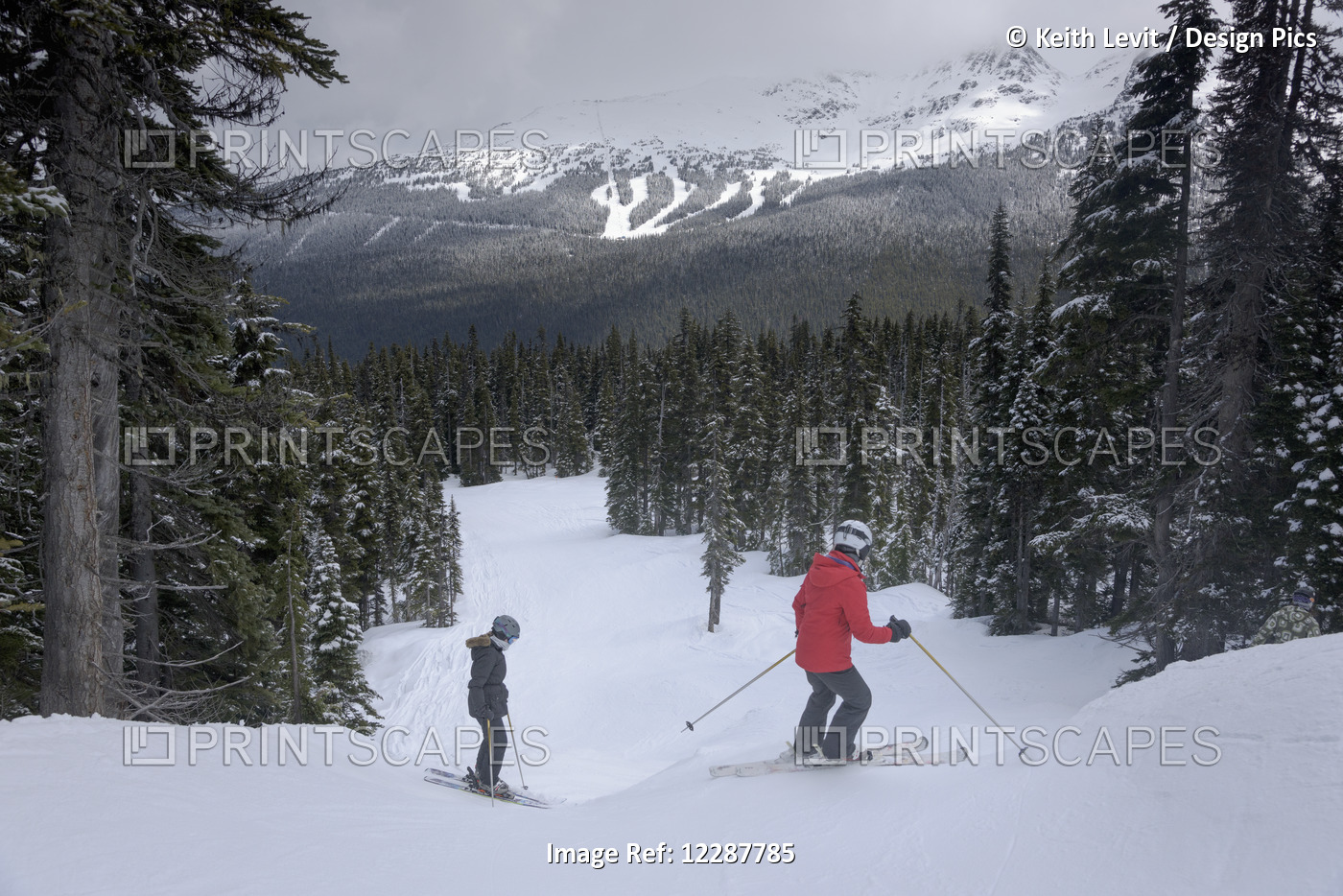 Skiing Down Resort Ski Hill; Whistler, British Columbia, Canada
