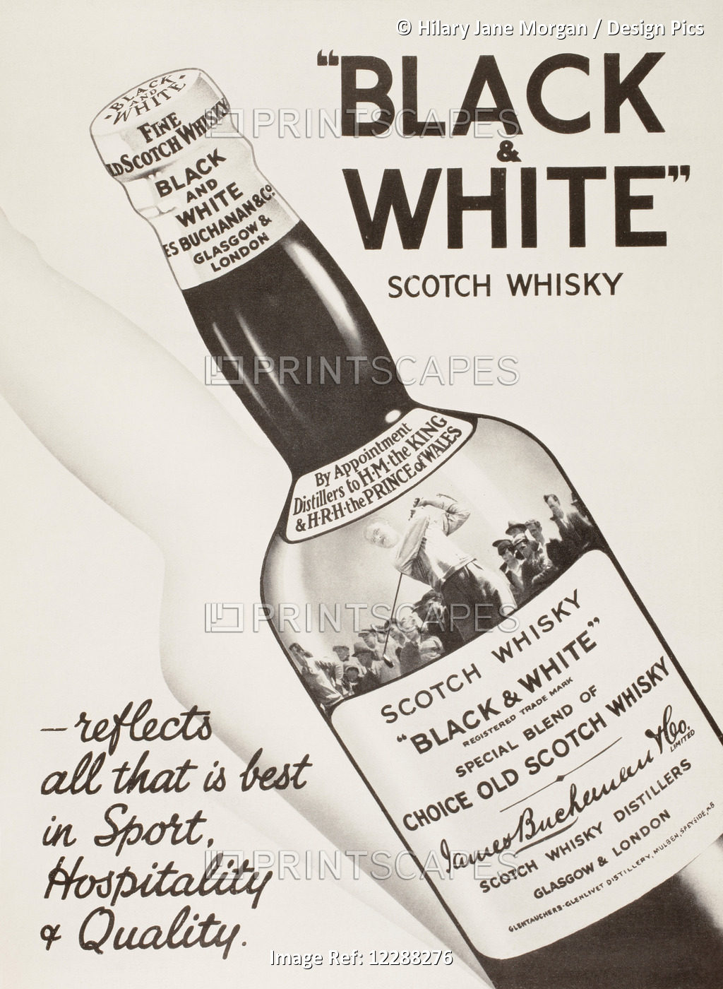 Advertisement For Black And White Scotch Whisky.  From The London Illustrated ...