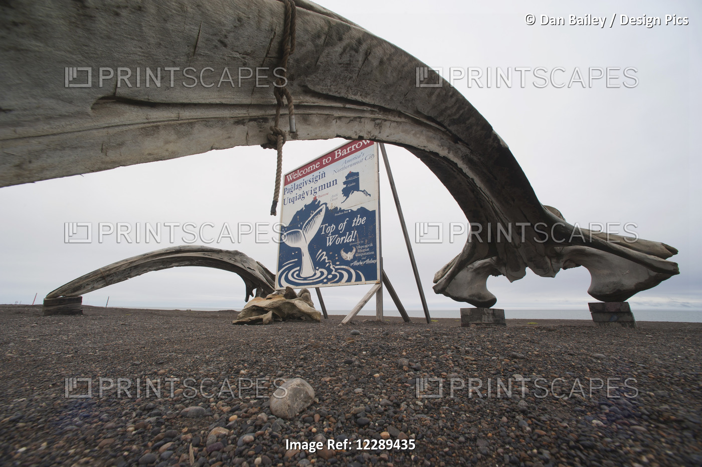 Welcome To Barrow Sign And A Bowhead Whale Vertebrate Bone, North Slope, Arctic ...