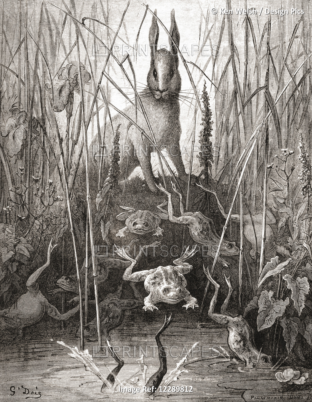 Gustave DorÃ©'s Illustration Of La Fontaine's Fable The Hare And The Frogs, (Le ...