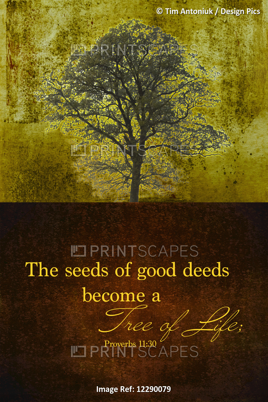 Image Of A Tree Against A Yellow Sky And A Scripture From Proverbs 11:30