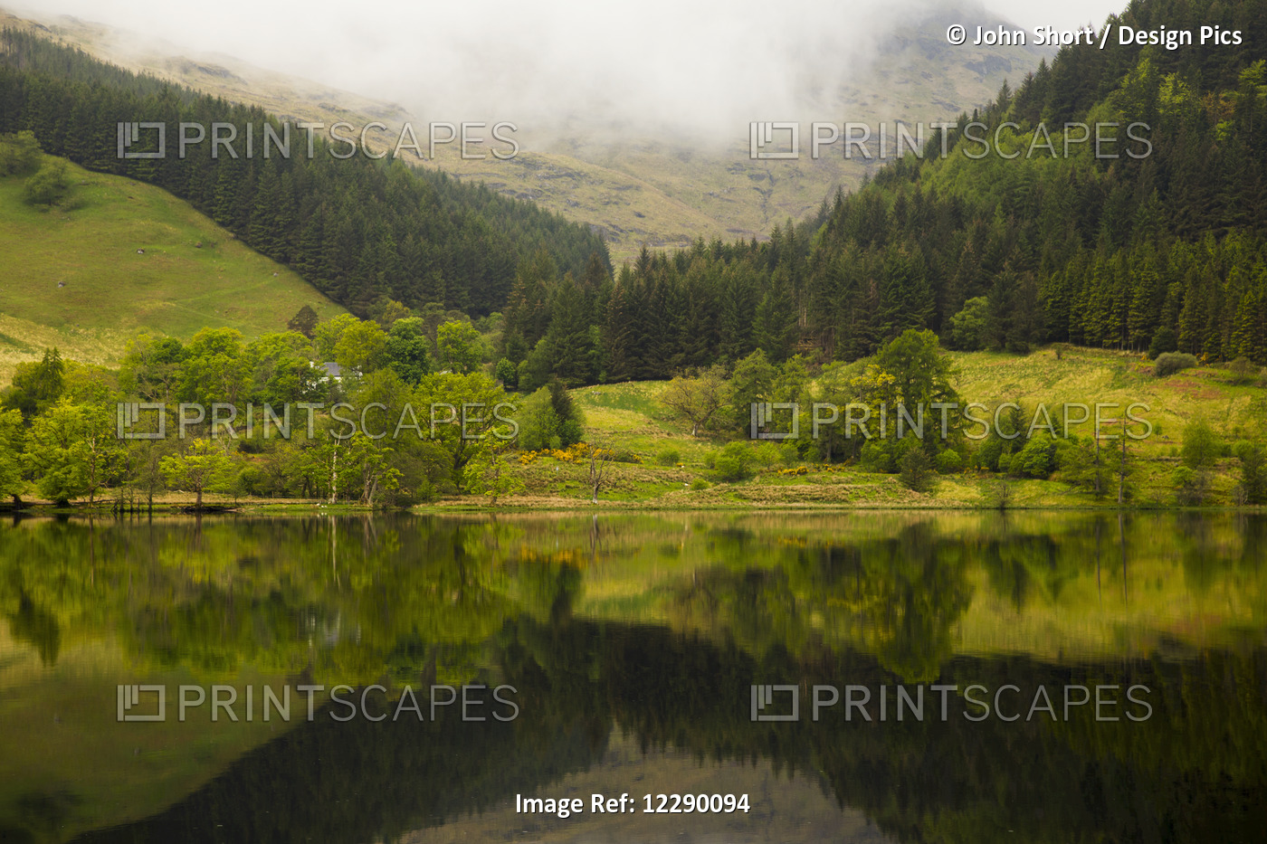 Lush Green Landscape With Grass, Trees And Low Cloud With It's Mirror Image In ...