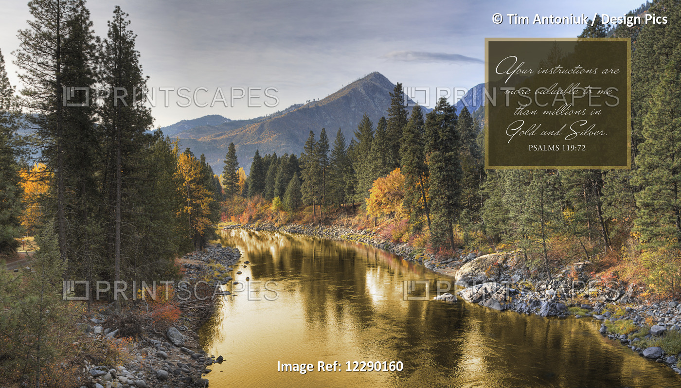 Image Of A Scenic Landscape And Reflection Of Autumn Colours In A River With ...