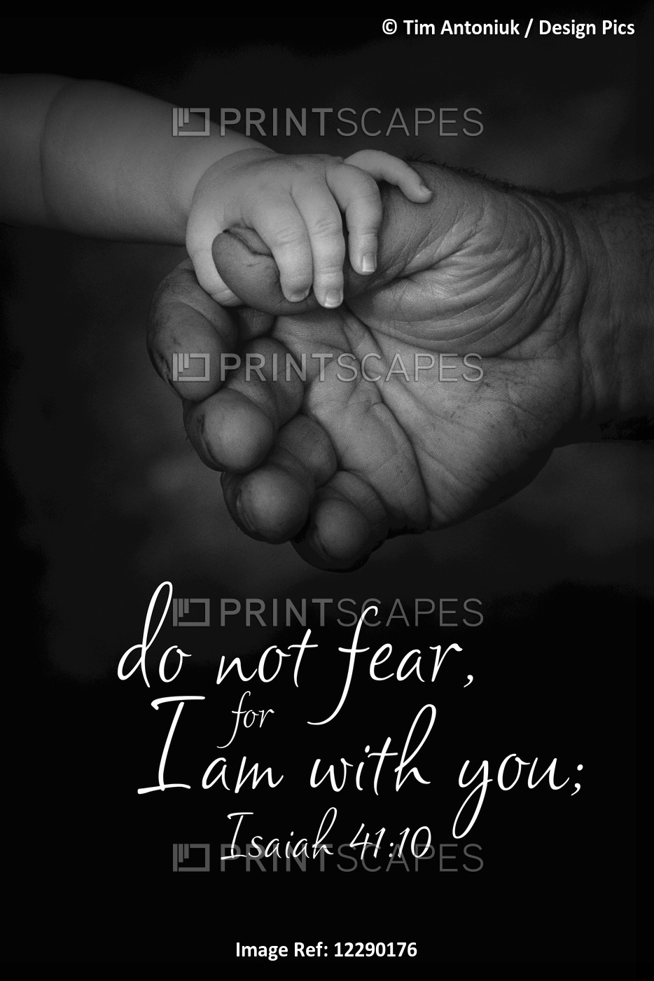 Image Of A Baby's Hand Holding A Large Adult Hand On A Black Background With ...
