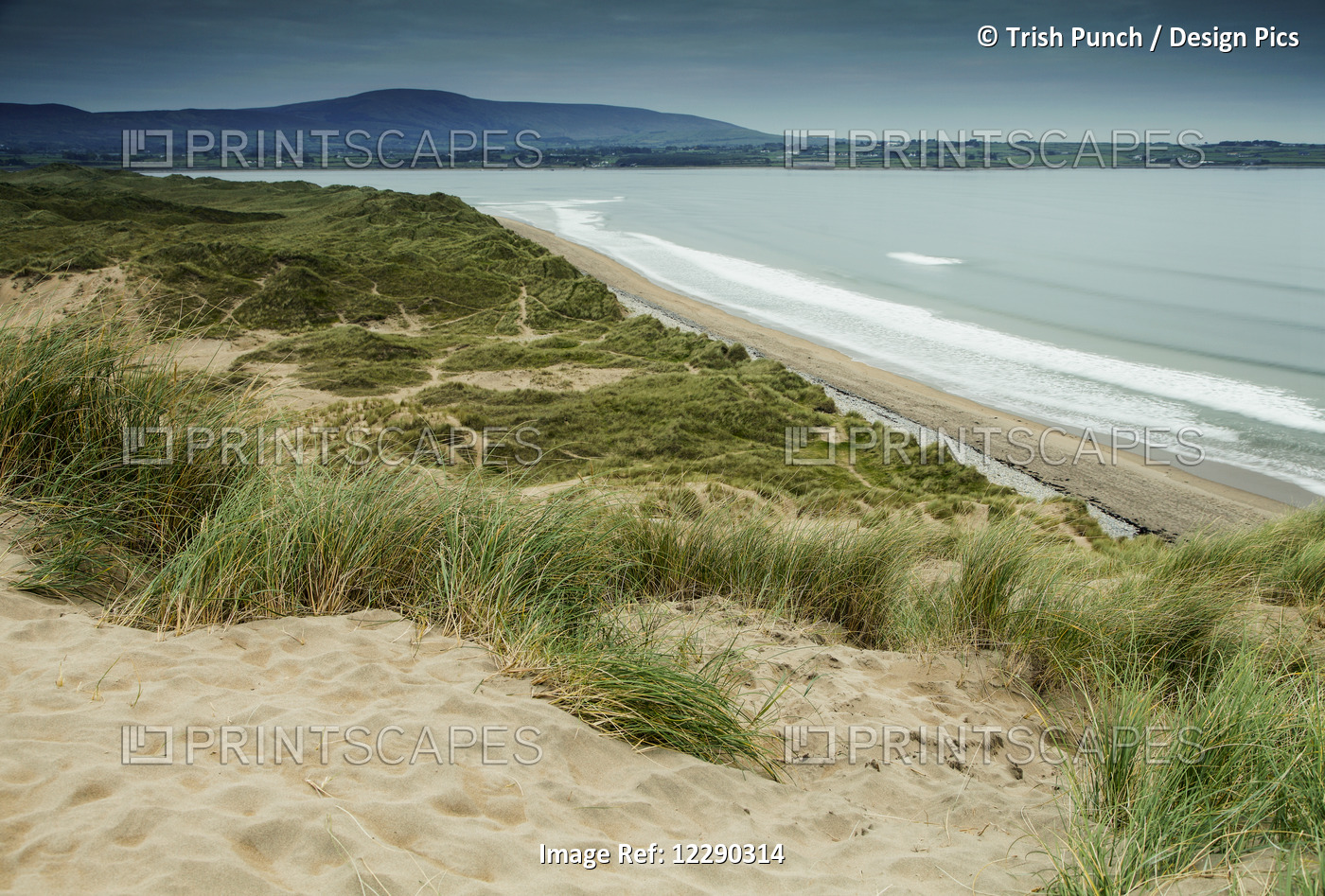 Strandhill Beach On The Wild Atlantic Way Coastal Route; County Sligo, Ireland