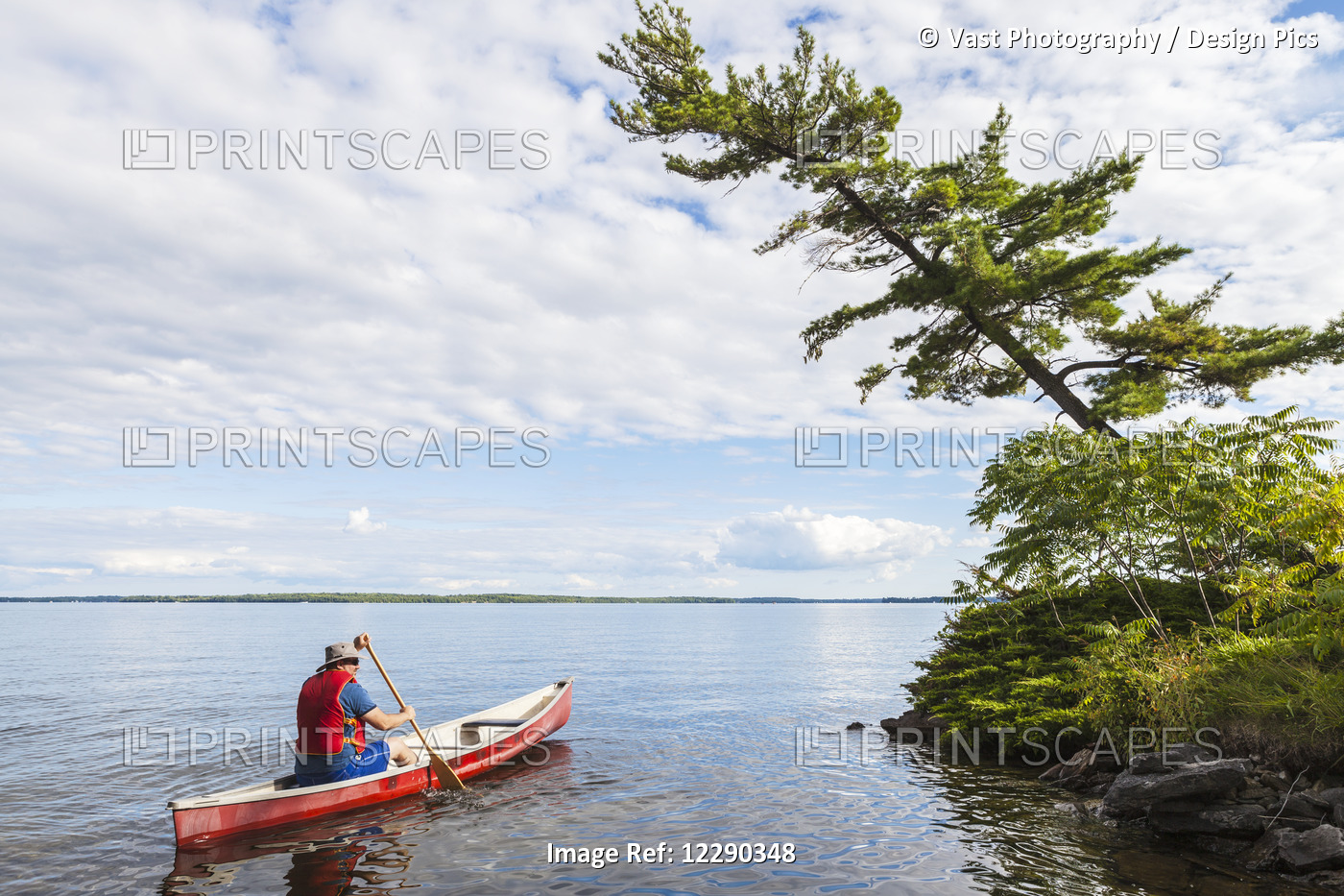 Man Paddling Canoe Near Shore On Balsam Lake; Ontario, Canada
