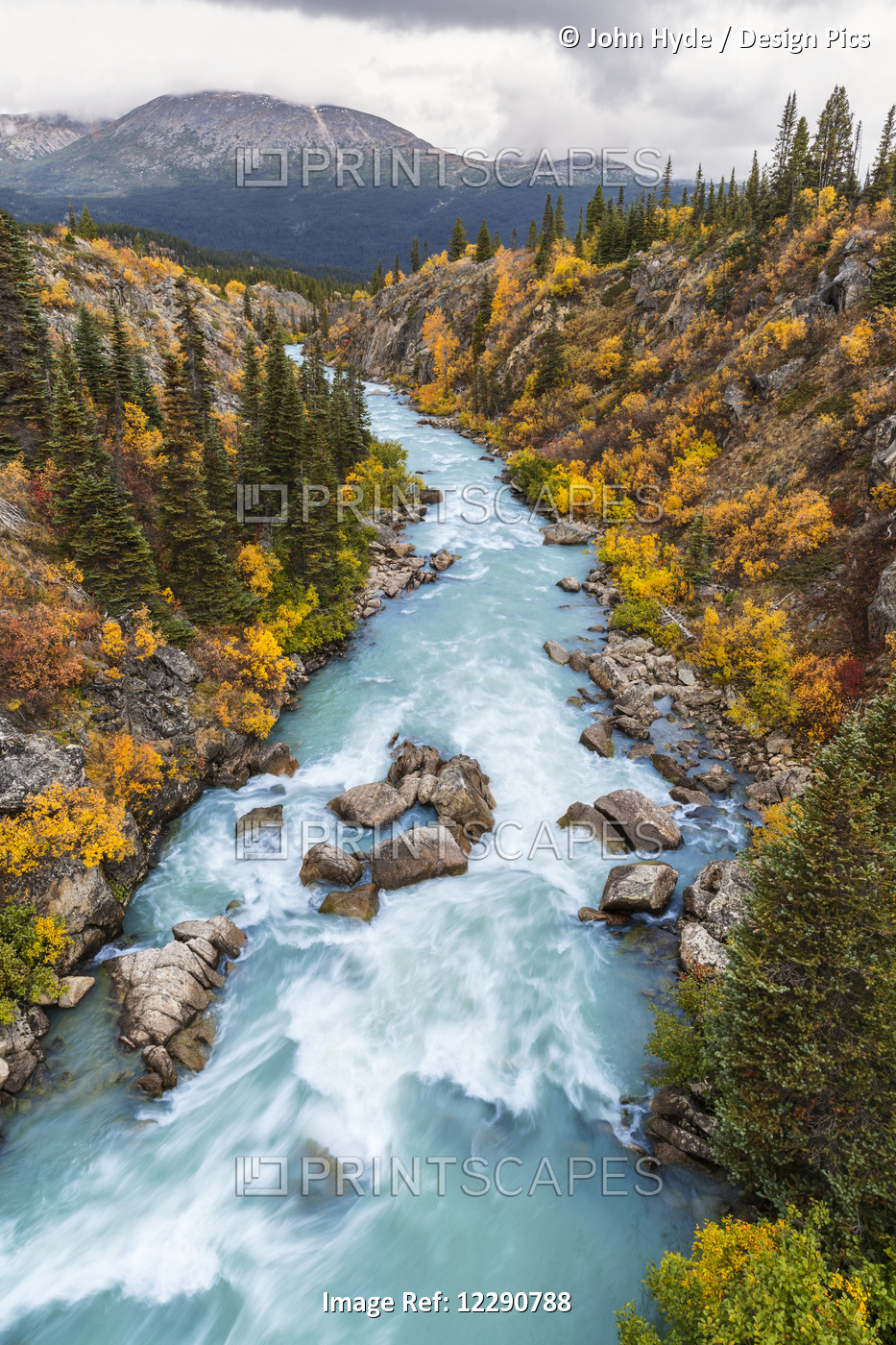 The Tutshi River Canyon As Seen From The Suspension Bridge, British Columbia, ...