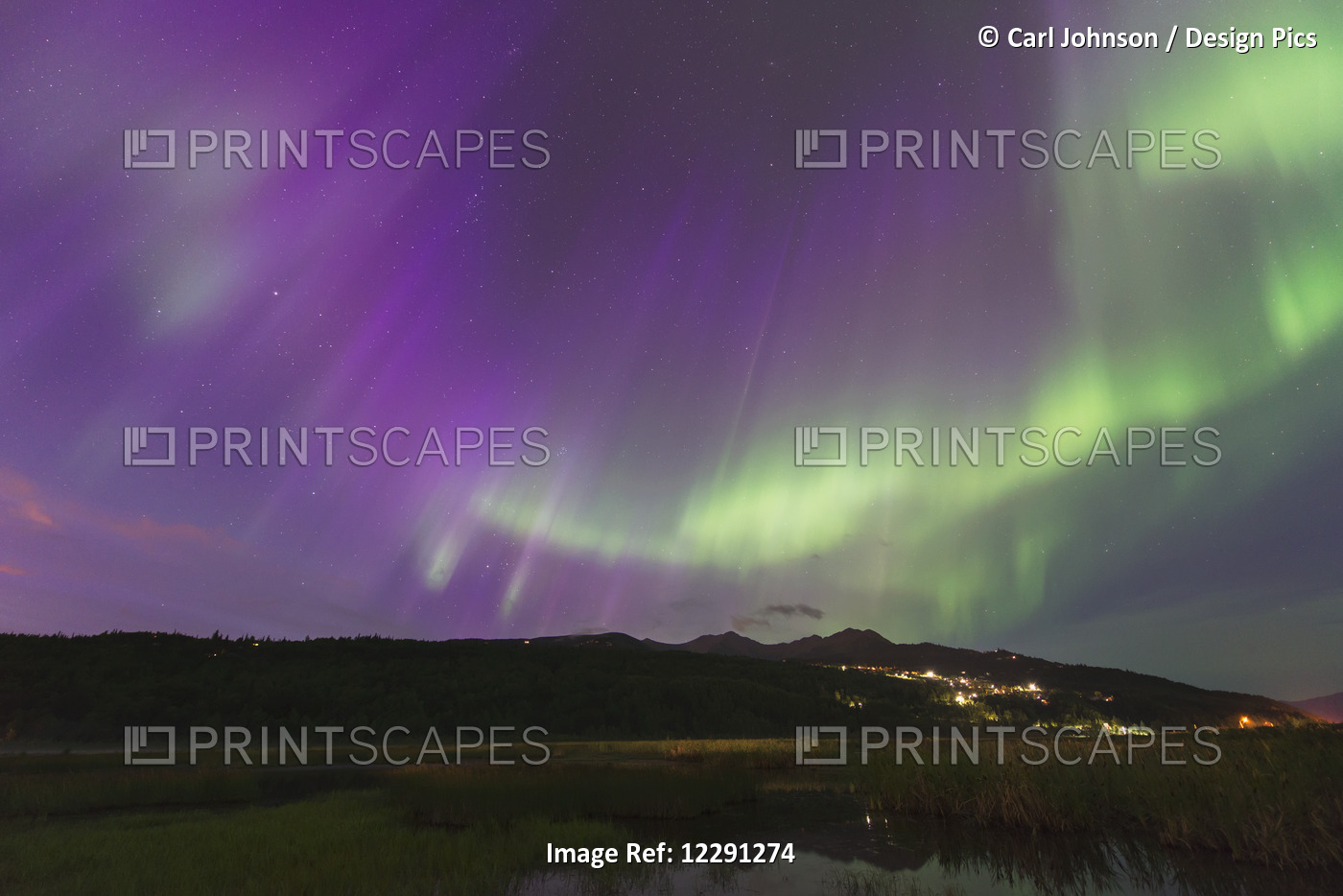 The Aurora Borealis Over The Potter Valley Neighborhood And Potter Marsh In ...