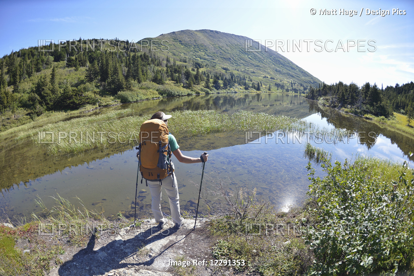 Woman Backpacker Hikes Along Upper Fuller Lake In The Kenai National Wildlife ...
