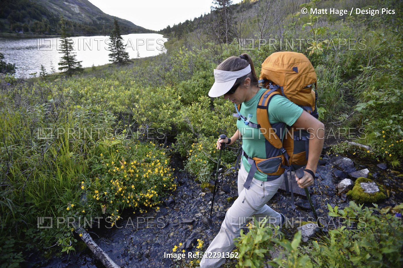 Woman Backpacker Hikes Along Upper Fuller Lake In The Kenai National Wildlife ...