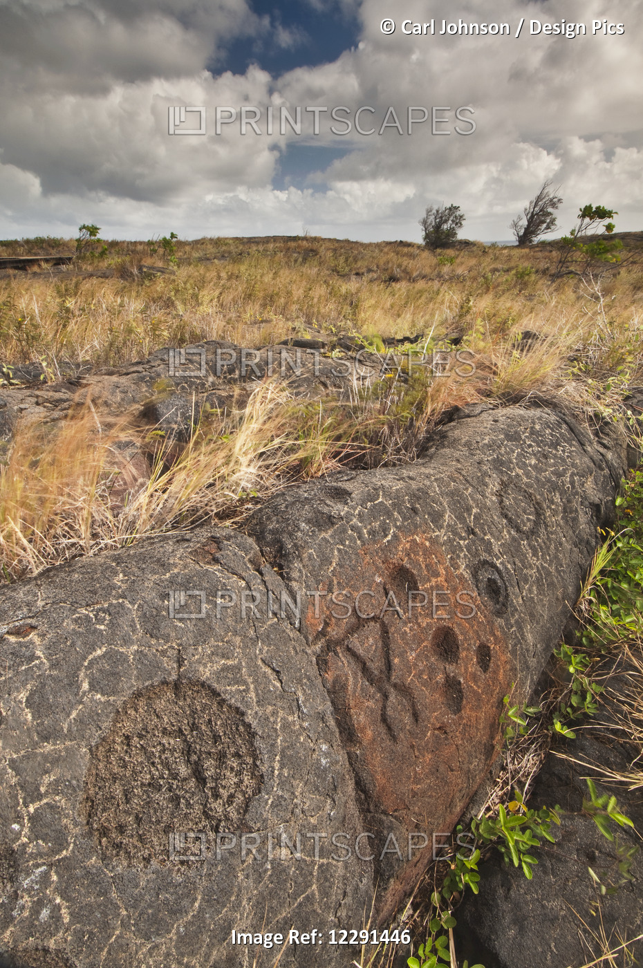 Petroglyphs On A Rock Outcrop In Hawaii Volcanoes National Park; Island Of ...