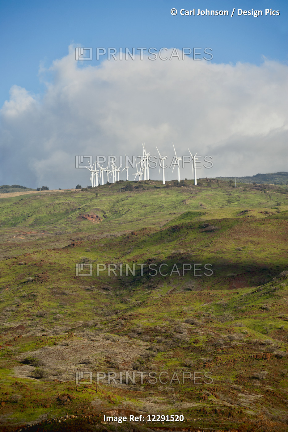 Windmills Spin On A Hillside Above The Coast; Maui, Hawaii, United States Of ...