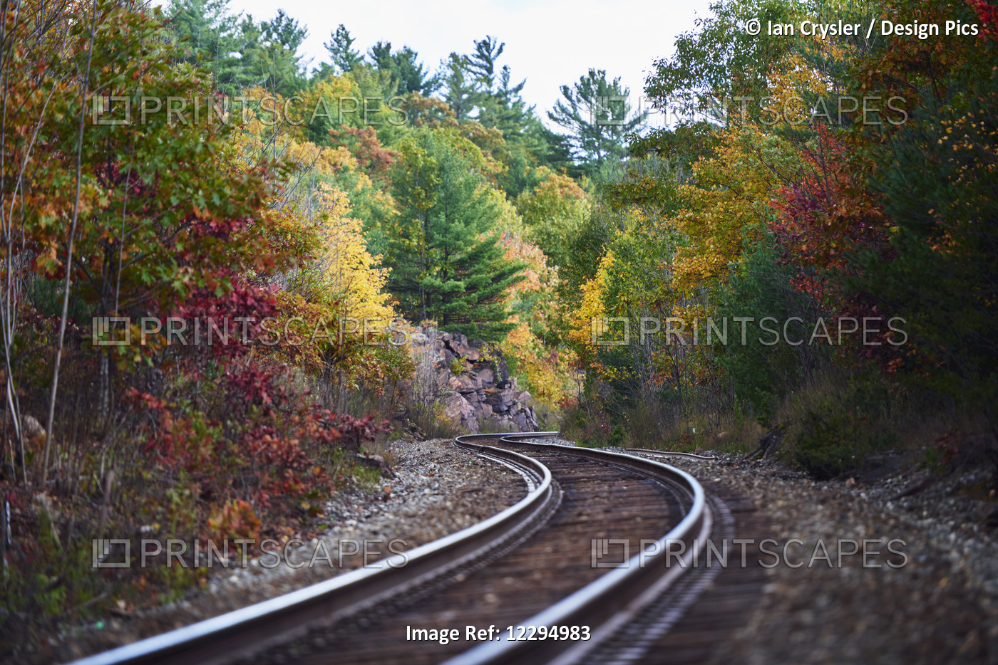 Railroad Tracks Winding Through An Autumn Coloured Forest In Muskoka; Ontario, ...