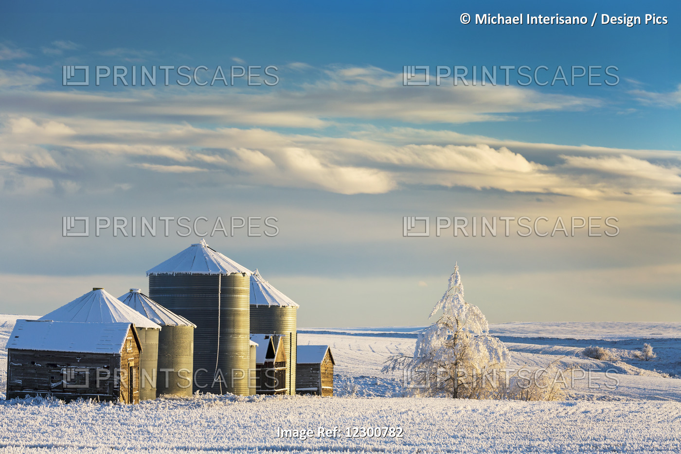 Snow Covered Metal And Wooden Grain Bins With Frosted Trees, Bushes And Stubble ...