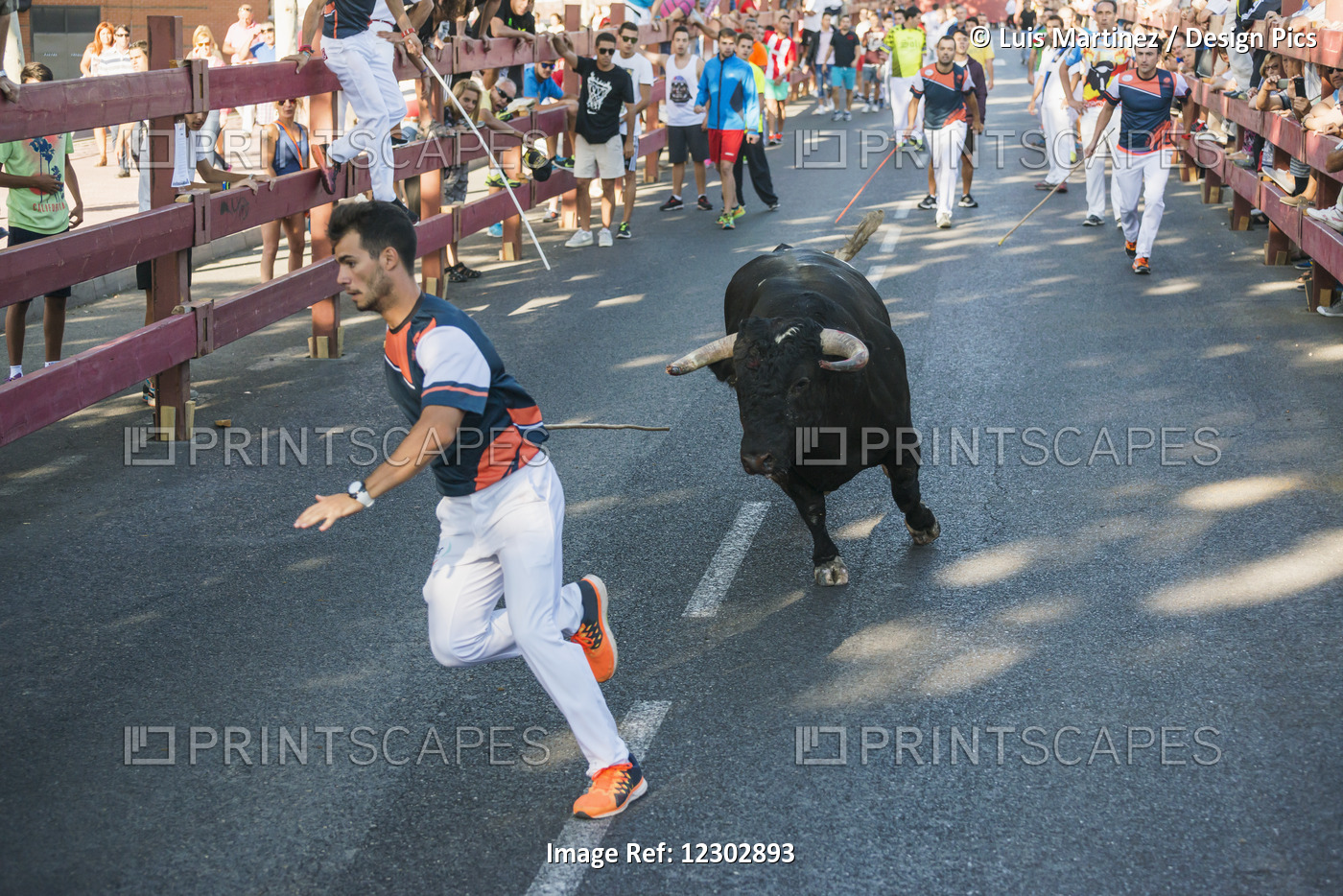 Festival In Alcala De Henares And Bull Running; Madrid, Spain