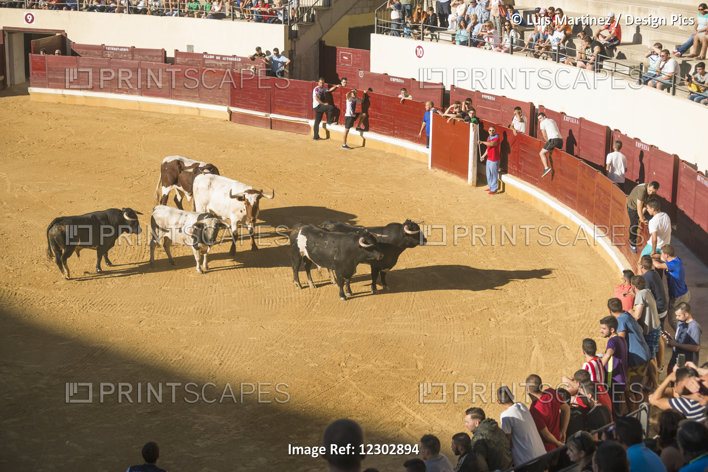 Festival In Alcala De Henares And The Bullring; Madrid, Spain