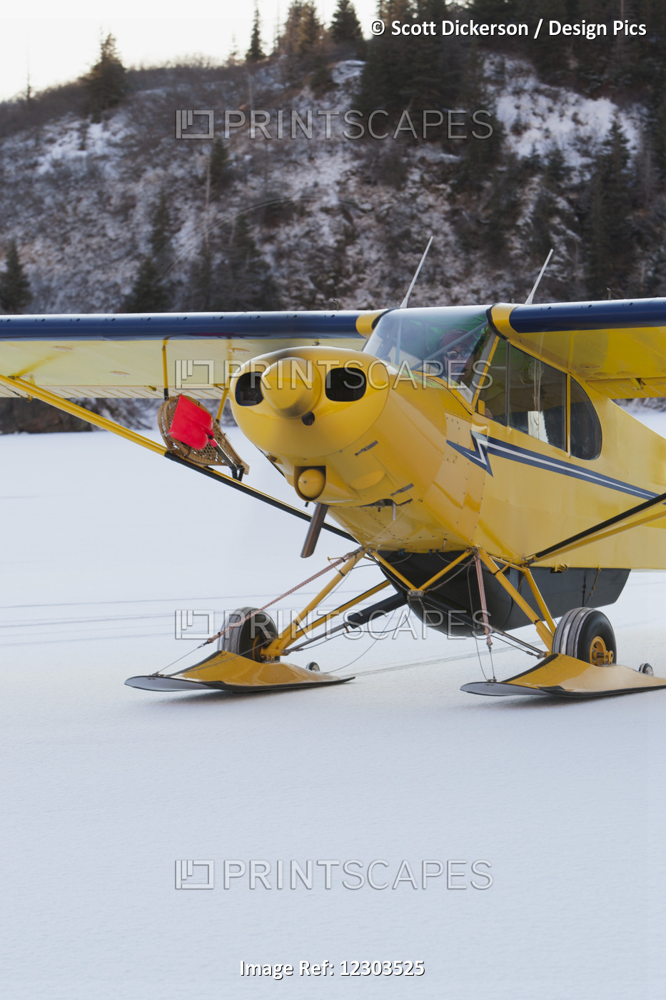 Piper Pa-18 Super Cub On Skis, Southcentral Alaska.