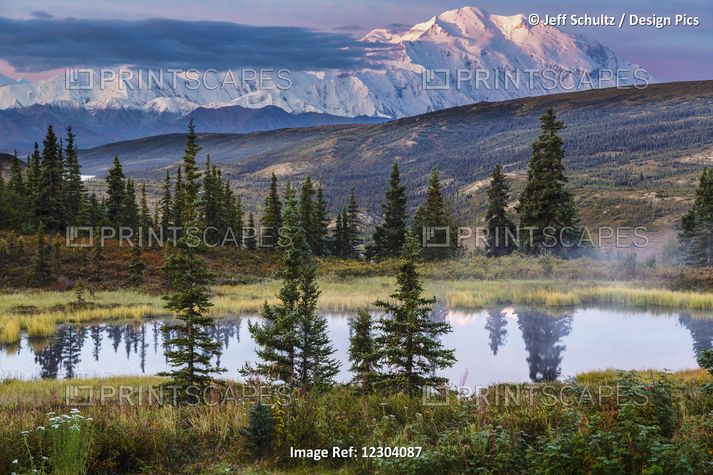 Scenic Sunrise View Of Denali With A Tundra Pond In The Foreground, Denali ...