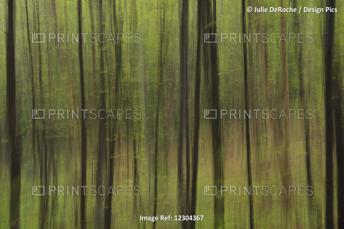 Abstract Of A Forest With Green Tree Trunks; Ontario, Canada