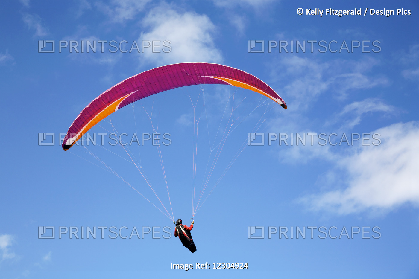 Paraglider At Makapuu Point; Oahu, Hawaii, United States Of America