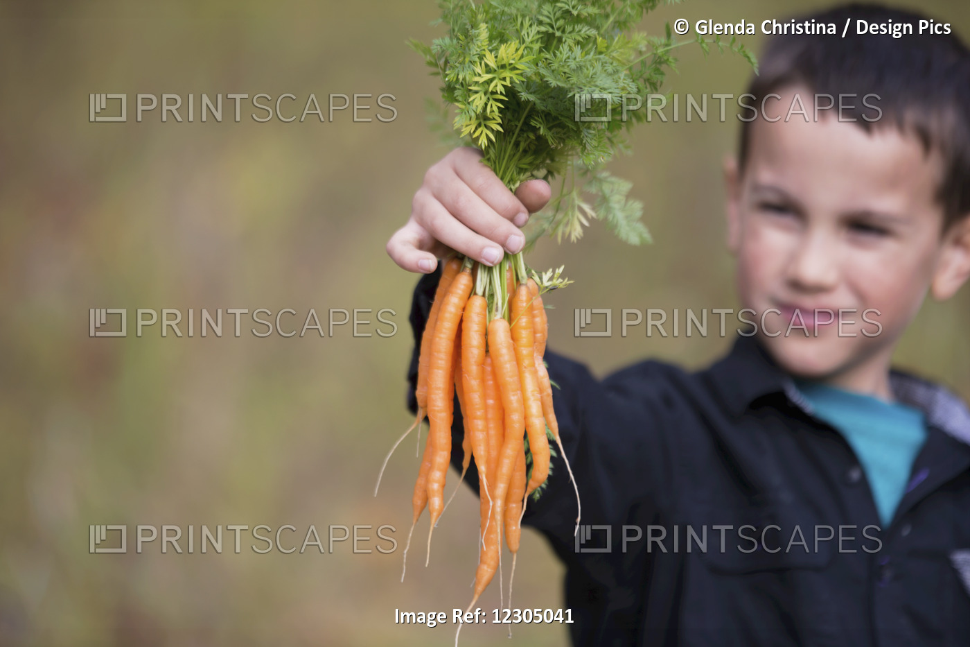 An Alaska Native Inipiat Boy Holding Carrots From A Garden In Palmer, ...