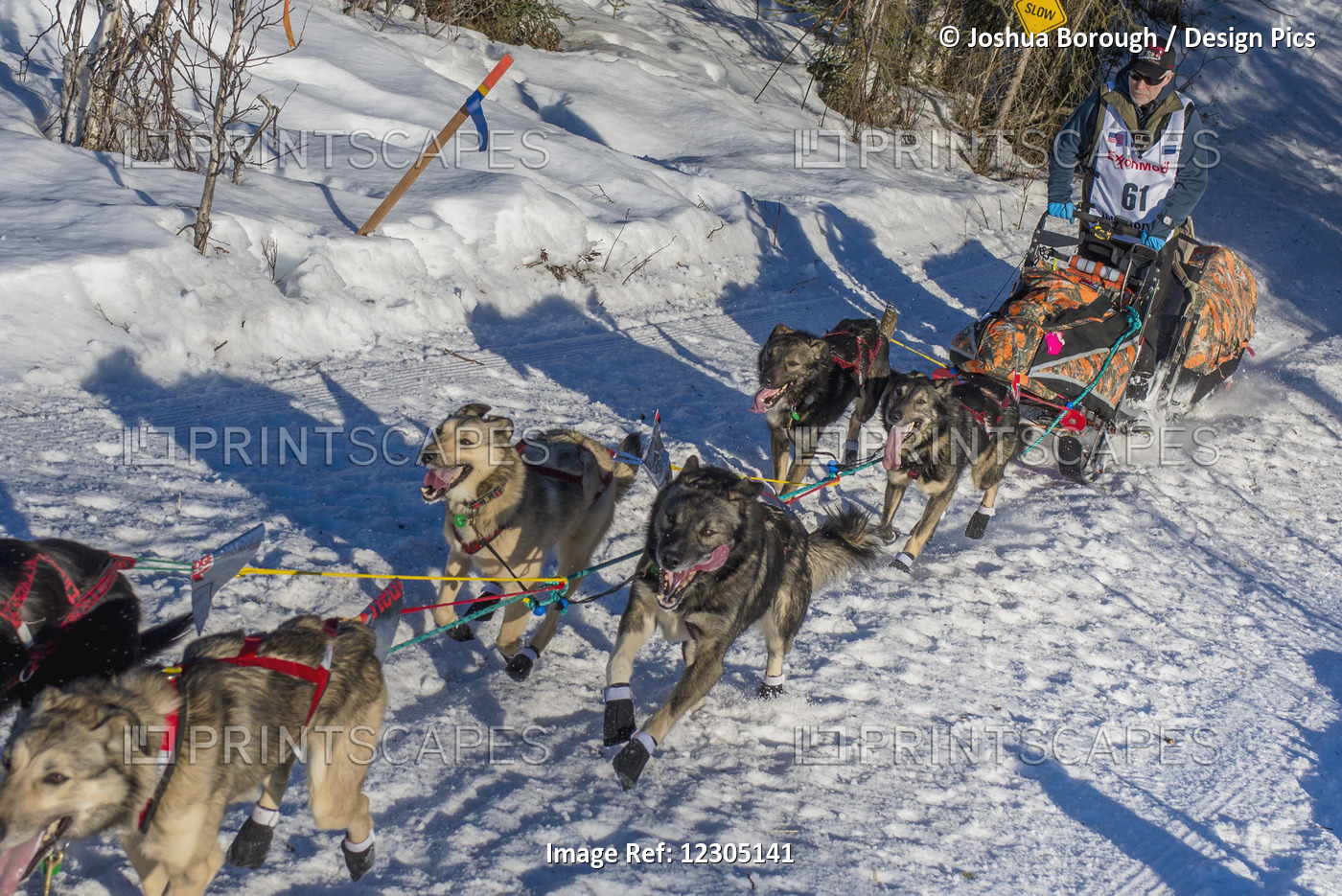 Jeff King And Team Run Down The Trail On Long Lake Shortly After Leaving The ...