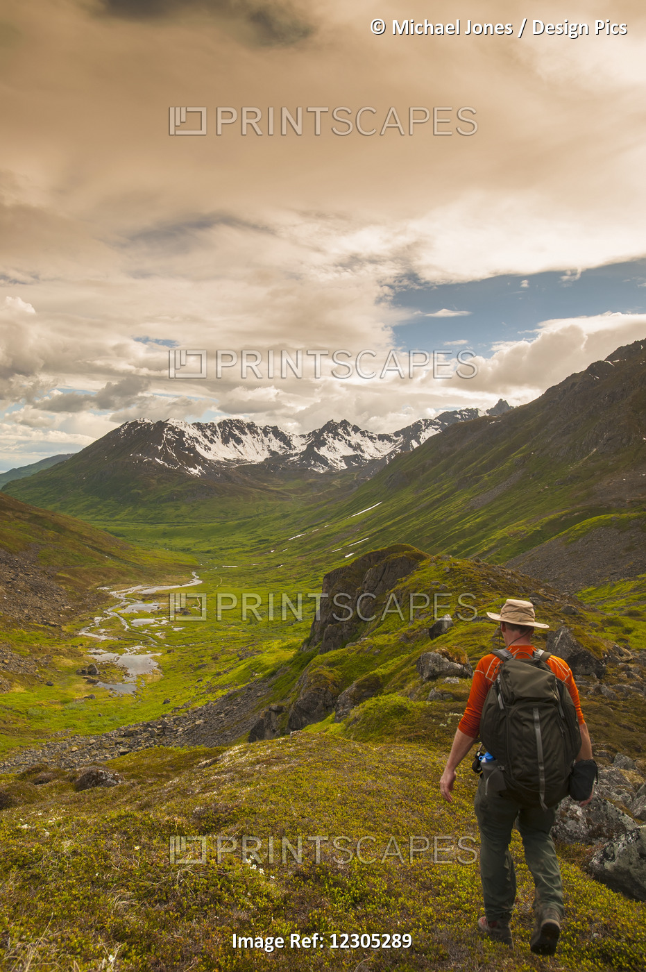 Man Hikes The Reed Lakes Trail In Archangel Valley, Talkeetna Mountains, ...