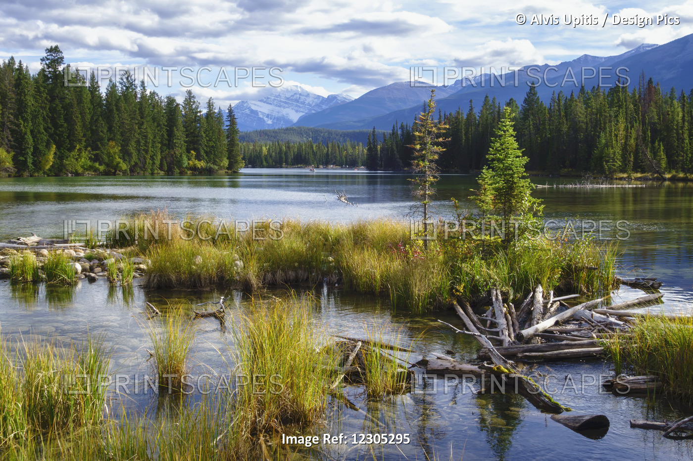 Beauvert Lake, Jasper National Park; Jasper, Alberta, Canada