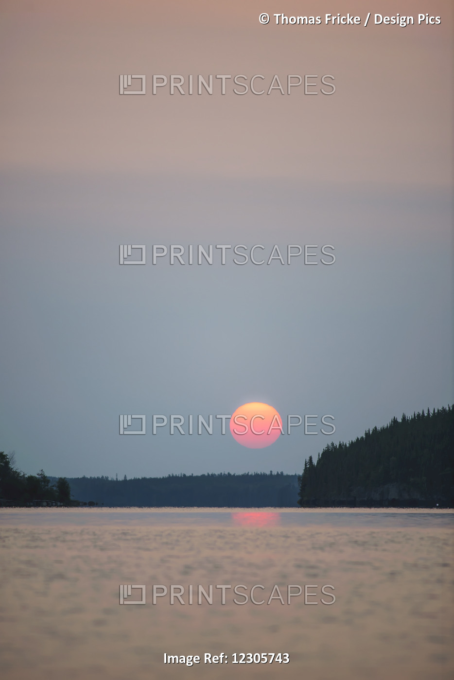 A Red Sun Setting Over The Forest With A Lake Reflecting The Pink Glow; ...