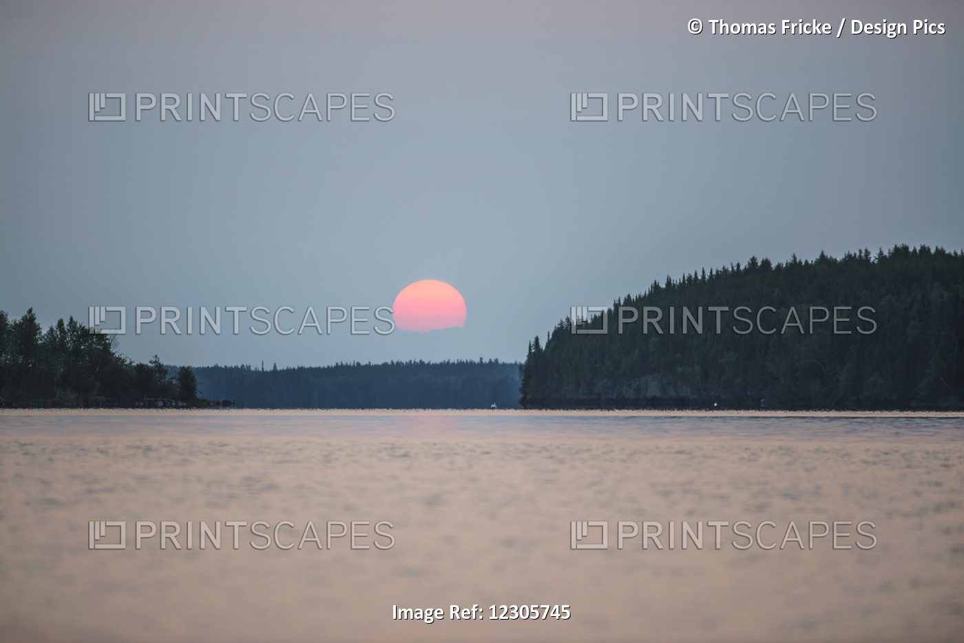 A Red Sun Setting Over The Forest With A Lake Reflecting The Pink Glow; ...