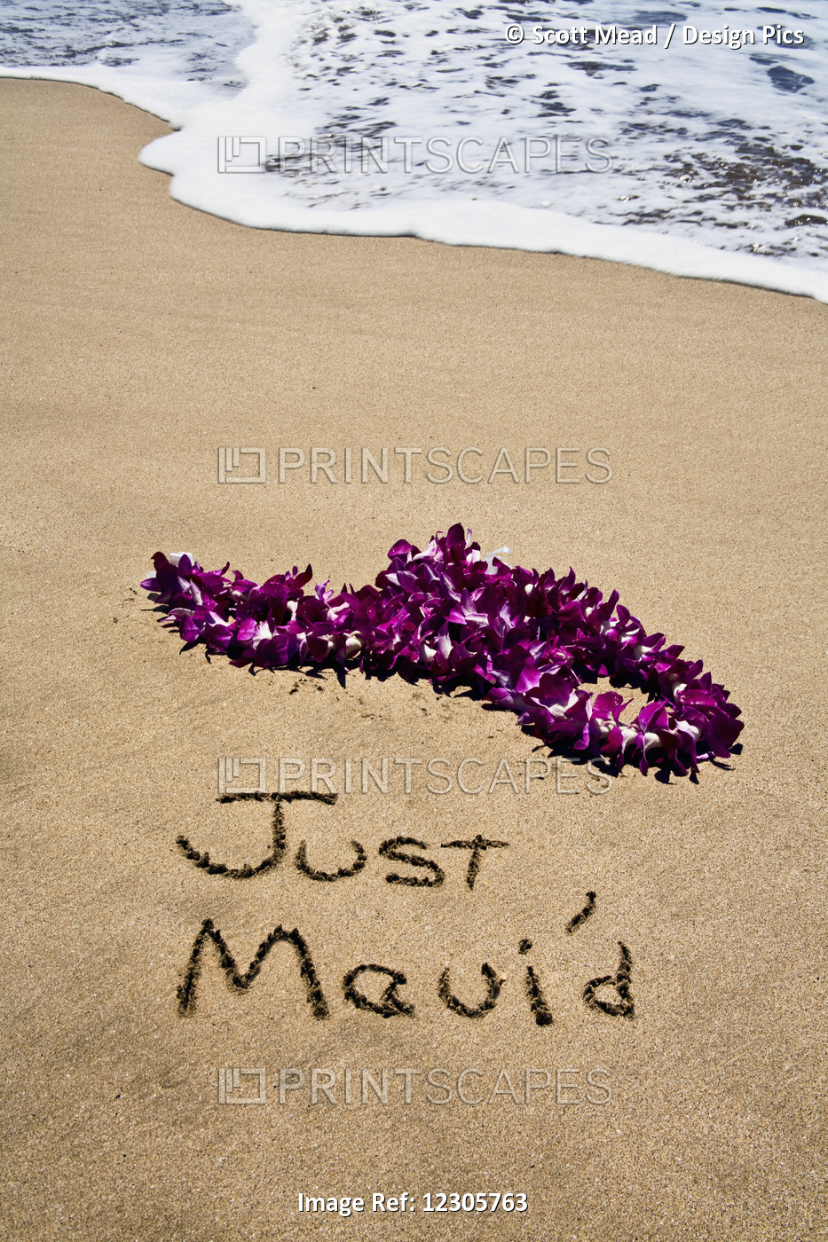A Purple Lei Of Tropical Flowers On A Beach With Writing 'just Maui'd' In The ...