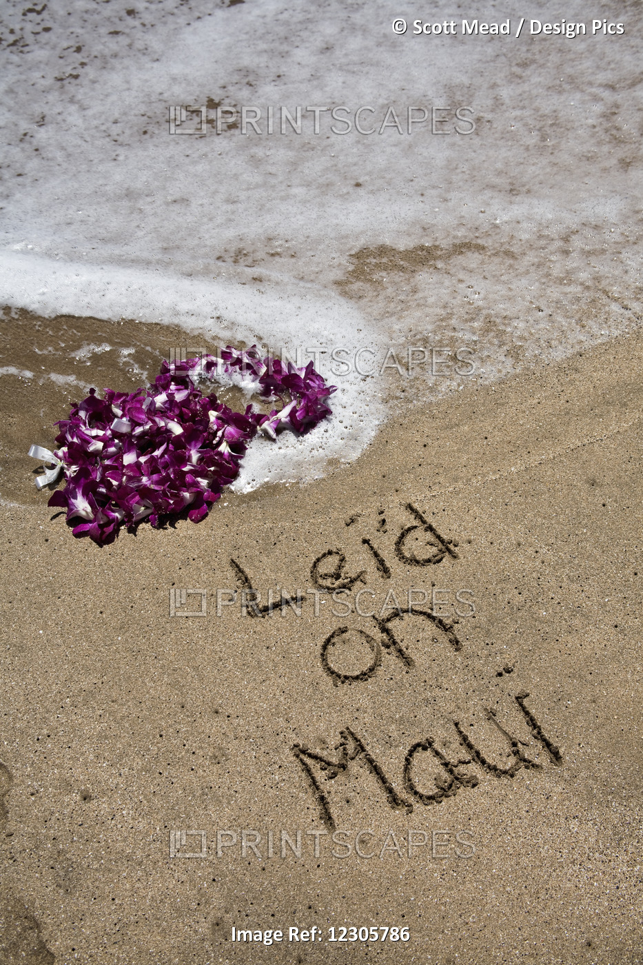 Lei On The Sand At The Water's Edge With The Message 'lei'd On Maui' Written In ...