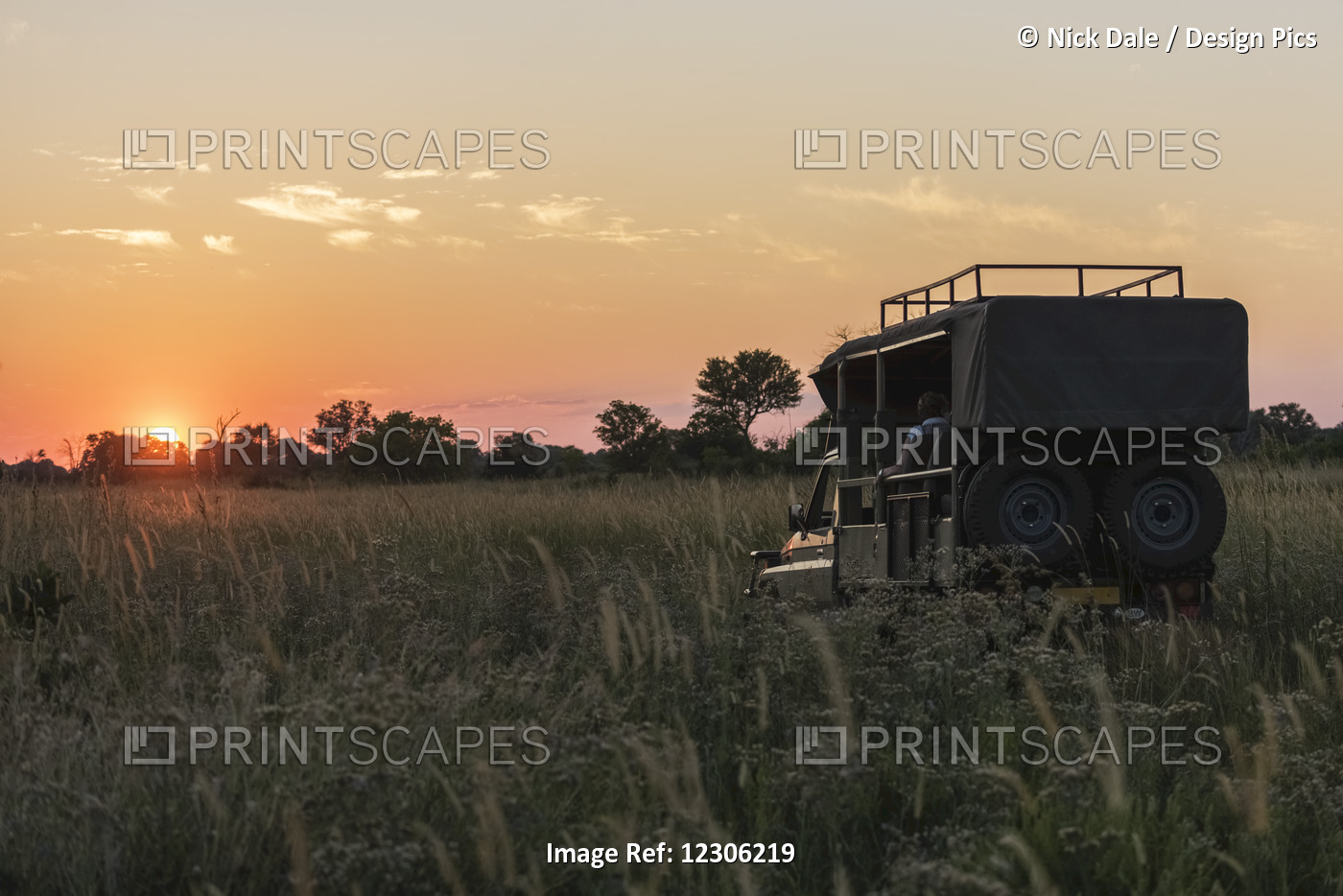 Safari Truck Pointing At Sunset In Grass; Botswana